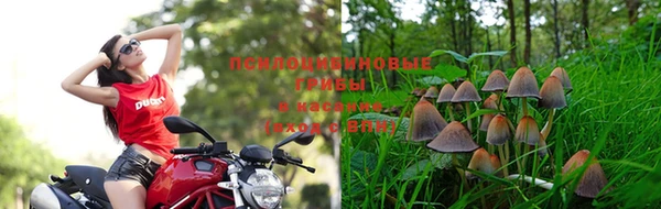 ALPHA-PVP Алзамай