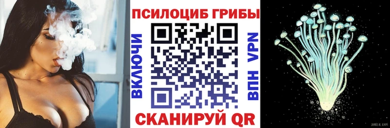 кракен tor  Камышин  Псилоцибиновые грибы мухоморы 