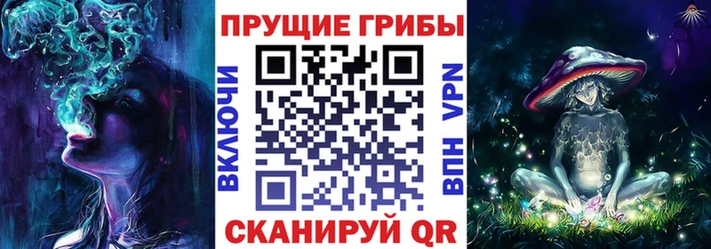 Галлюциногенные грибы Psilocybe Камышин