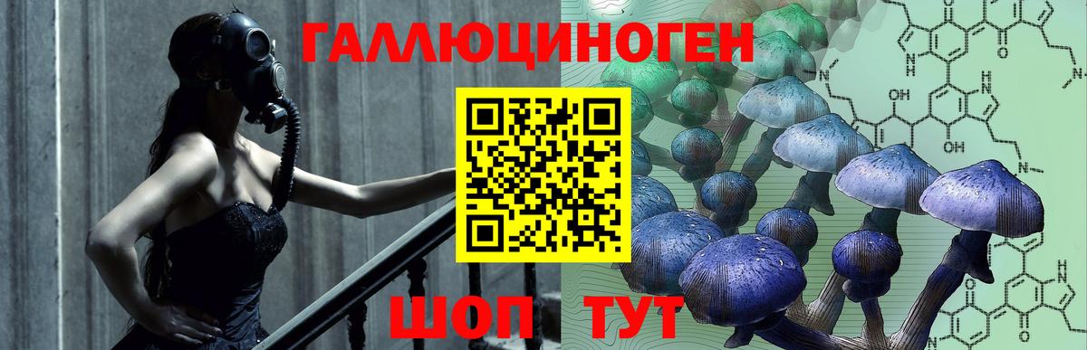 Камышин  Псилоцибиновые грибы MAGIC MUSHROOMS  Галлюциногенные грибы ЛСД  Вход с VPN 